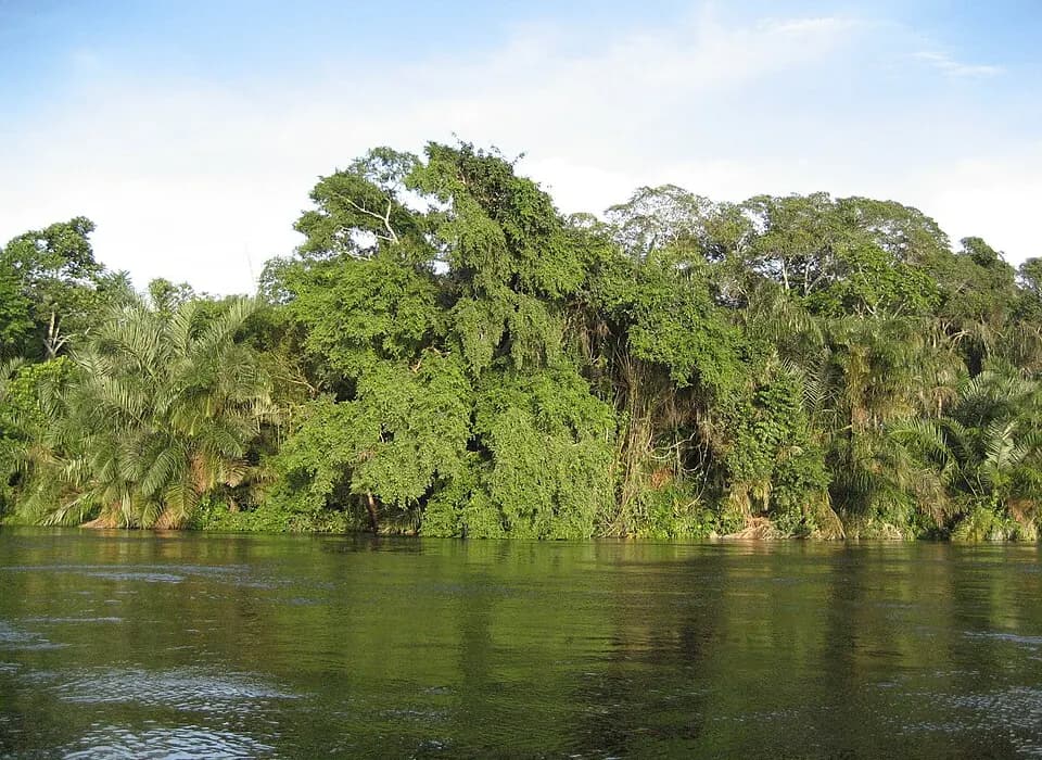 Congo