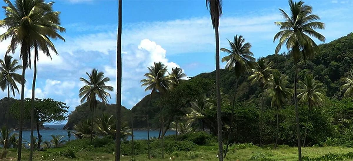 Dominica