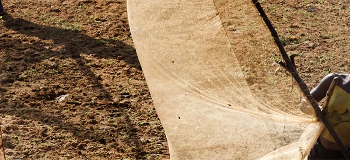 Гвинея: Guinea banner