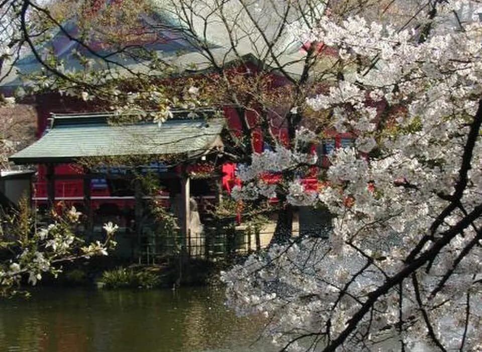 Japonia