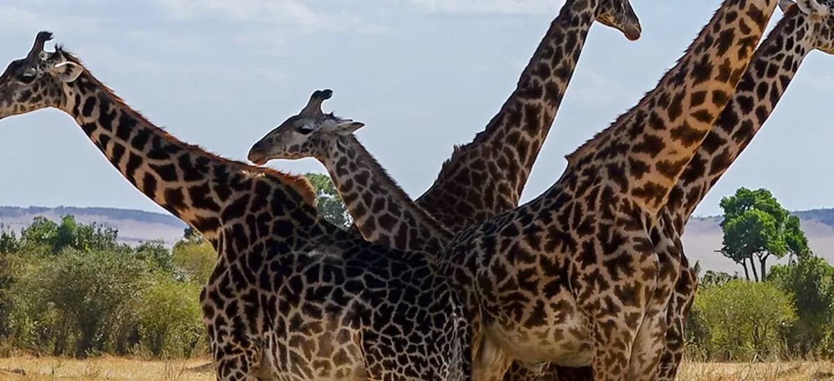 Kenya
