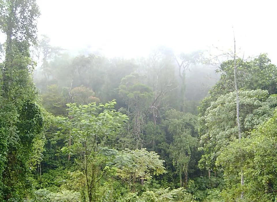 Sri Lanka