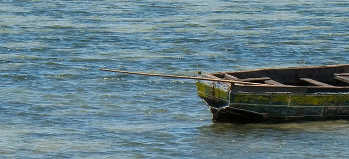 Mozambic