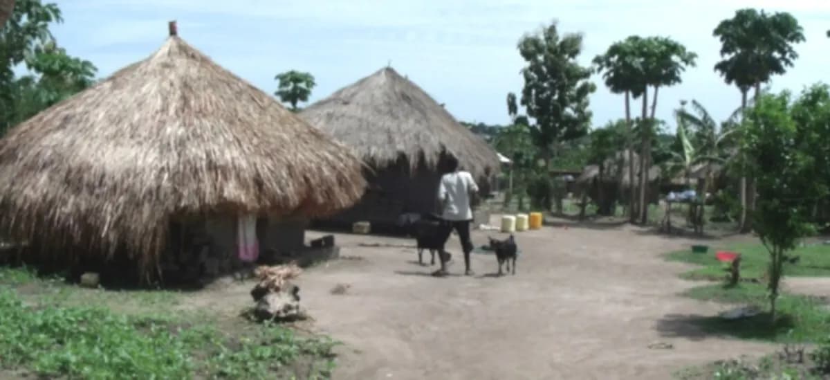 Южный Судан: Straw huts in Yei township, South Sudan.