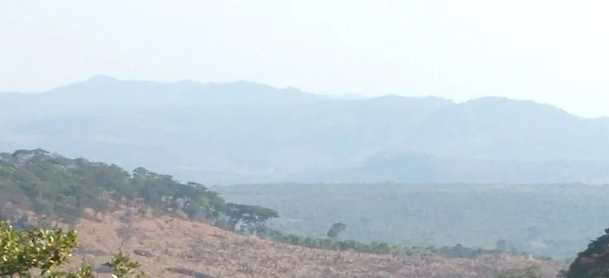 Zambia