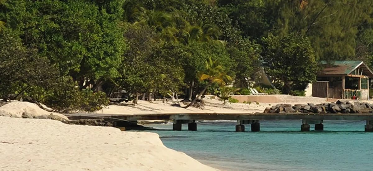 St. Vincent și Grenadines